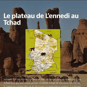c'est quoi android ?
