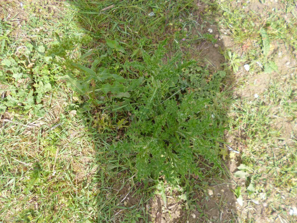 P1010032